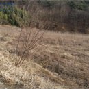 대산면 감성마을 이미지