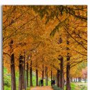 위례강변길 이미지