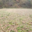 결성면 주교마을회관 이미지