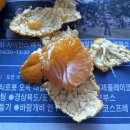 까미농장 이미지