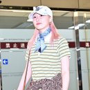 라미 이미지