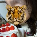 오리지날모다필 | (2) 잘 쉬었으니 다시 나아가야 해