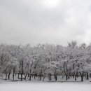 능동공원 이미지