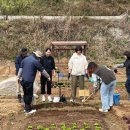 청년모종 이미지