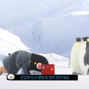 태평양광고 스포츠경향