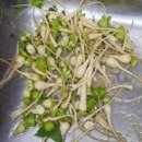 빛들농장 이미지