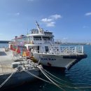 해안짜장면 | 마라도 가서 안먹으면 후회하는 원조마라도해물짜장면집 방문 후기