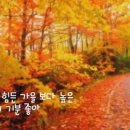선한가르침