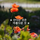 아름다운날 이미지