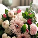 러브 스테이 이미지