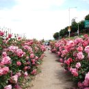 면목5동 공영주차장 이미지