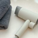 파마슈온 | 헤어드라이어 저소음 휴대용 헤어 드라이기 추천 에디르 에어캐논S