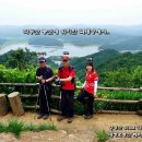 청원벌목