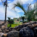 그레이스830 이미지