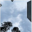 서울독립문초등학교 - 19 | 서울독립문초등학교