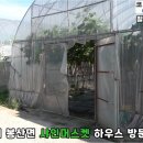 김천아그로 이미지