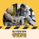 성일건설 이미지