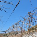 장생농장 이미지