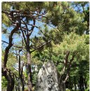 삿갓봉근린공원 이미지