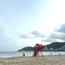 송정1천 | 부산 송정해수욕장 정보 샤워실 파라솔 대여료 개장 폐장 기간