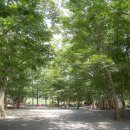 도로줌마을 이미지