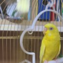 새은평동물의료센터 이미지