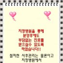 참 조은 훈이네 강아지 이미지