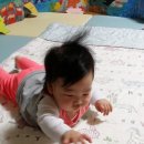 워니소프트 이미지