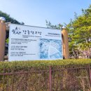 강릉선교장박물관 | 강릉가볼만한곳 봄여행 추천코스 선교장 방문후기