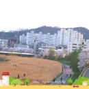 무심천마트