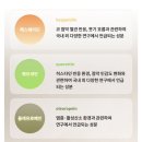 주식회사 리케어랩 | 환절기마다 킁킁대는 박사님을 위한 금쪽이의 코 케어템｜티시랩 통해 후기