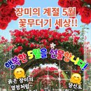 선생님들께 드리는 5월의 첫 편지 이미지