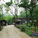 곰배령새소리 티스토리