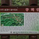 청솔약품 이미지