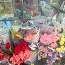 다혜꽃방 이미지