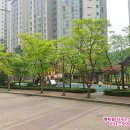 호평파라곤마트 네이버블로그