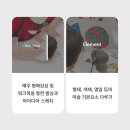 플래뮤미술학원 이미지
