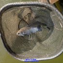 쉼터 낚시터 이미지