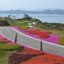 원더풀 골프장 이미지