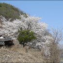 상현정(象賢亭) Daum카페