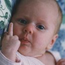 라이징썬 이미지