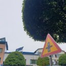 피에스타PC방 단양점 이미지