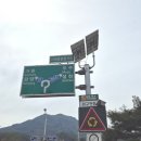 라제통문벚꽃길 네이버블로그