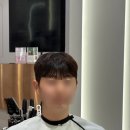 엘씨 | [첨단미용실 후기] 광주 가이아헤어 엘씨타워점에서 컷트+다운펌 받고 깔끔해짐(호디자이너)