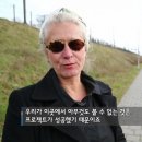디자인성 이미지