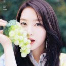 지호로1 이미지