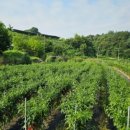 무너미농장 이미지