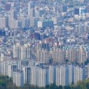 대전 1177 대전일보
