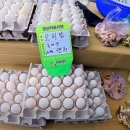 내리5일장 이미지