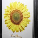 엠마컴퍼니 이미지